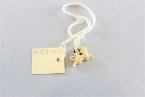 Image description is not available for DU1974.92.5